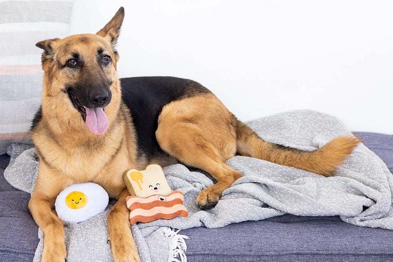 Pearhead Barkfast Dog Toys Set of 3 Plush Pet Squeaker Toys Breakfast Dog Toy Set Toast Bacon  Egg Toy Set Must Have Pet Accessories for Pet Owners - Image 2