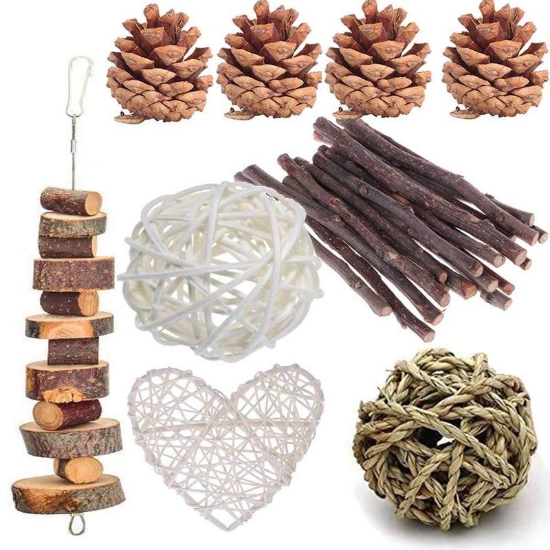 ANDES Rabbit Chew Toys Pet Bunny Tooth Chew Toys Organic Natural Apple Wood Grass Cake Ideal for Bunny Chinchilla Guinea Pigs Hamsters Teeth Grinding Bird Exercise Molar 13PCS - Image 2