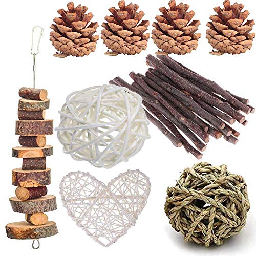 ANDES Rabbit Chew Toys Pet Bunny Tooth Chew Toys Organic Natural Apple Wood Grass Cake Ideal for Bunny Chinchilla Guinea Pigs Hamsters Teeth Grinding Bird Exercise Molar 13PCS - Image 1