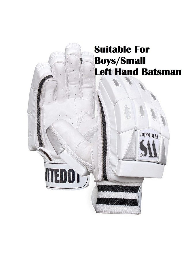 WHITEDOT SPORTS WHITEDOT SPORTS Dot 1.0 Cricket Batting Gloves, Boys, Lh (White, Leather) - Image 2