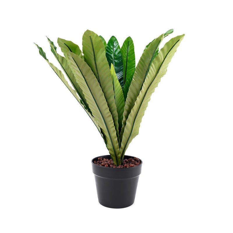 PURE HOME + LIVING سرخس بوسطن المزروع من بيور هوم ولينغ - Image 1