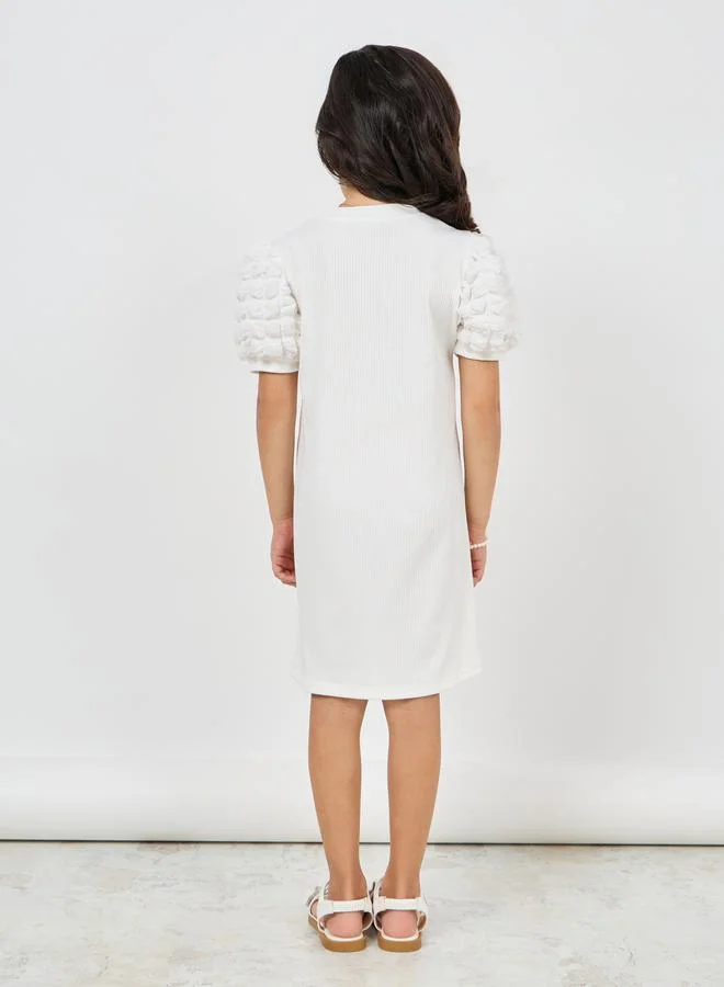ستايلي Texture Puff Sleeve Ribbed Shift Dress