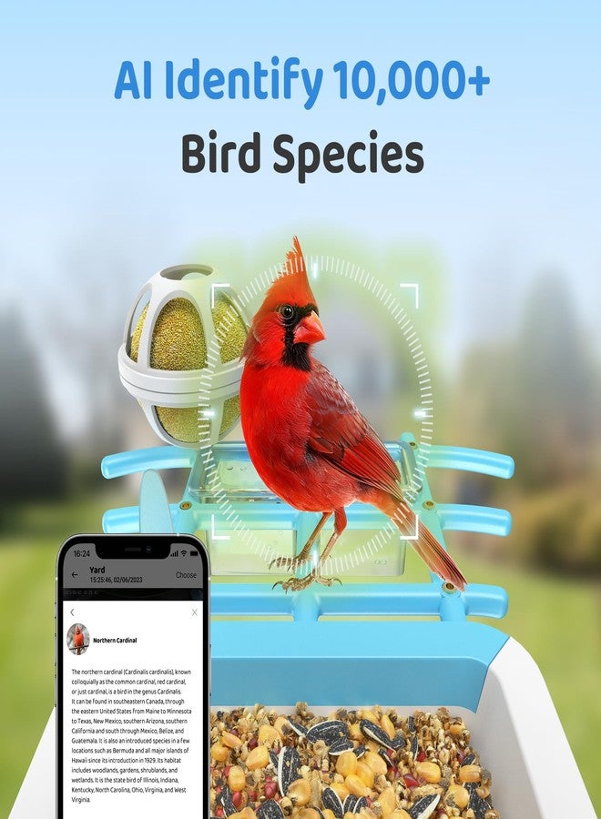 HARYMOR Bird Feeder with Camera, Outdoor Bird Watching Camera, Auto Capture Bird Videos & Motion Detection, Real Time Views, Wireless Camera Ideal Gift for Bird Lover - Image 3