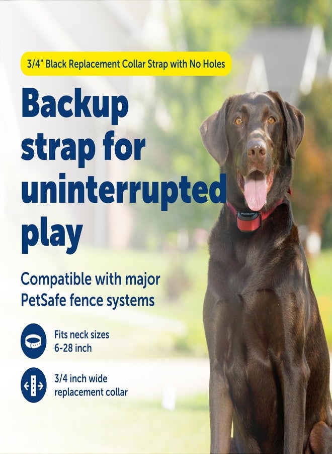 بيت سيف حزام بديل لطوق PetSafe مقاوم للصدأ مقاس 3/4 بوصة بدون ثقوب - حزام قابل للتعديل - تصميم من النايلون المتين - مشبك سريع الفتح - متوافق مع أطواق السياج اللاسلكي وأطواق منع النباح - 30 بوصة - أسود - Image 2