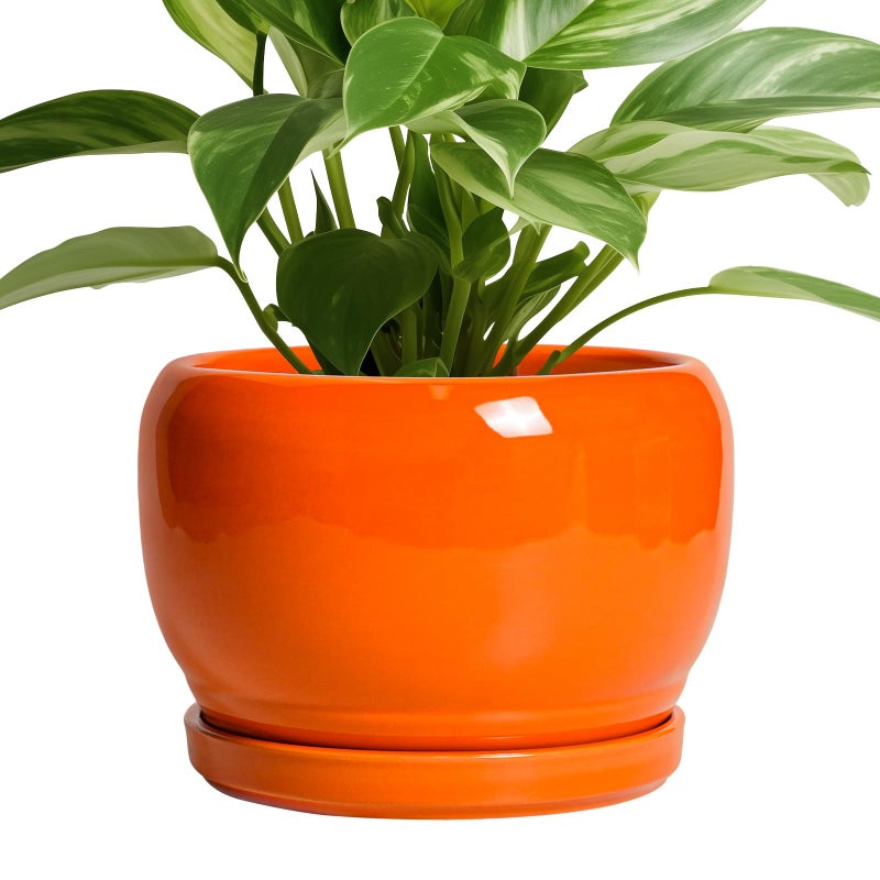 SQOWL Ceramic Pot for Plants - 8 Inch Plant Pot Indoor Outdoor, Modern Round Planter with Drainage Hole and Saucer, Decorative Planter for Flower, Office Decor, Garden Gifts for Women, Orange - Image 1