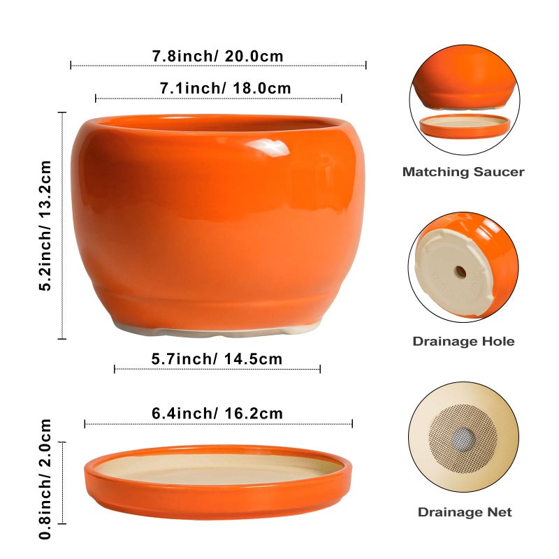 SQOWL Ceramic Pot for Plants - 8 Inch Plant Pot Indoor Outdoor, Modern Round Planter with Drainage Hole and Saucer, Decorative Planter for Flower, Office Decor, Garden Gifts for Women, Orange - Image 3