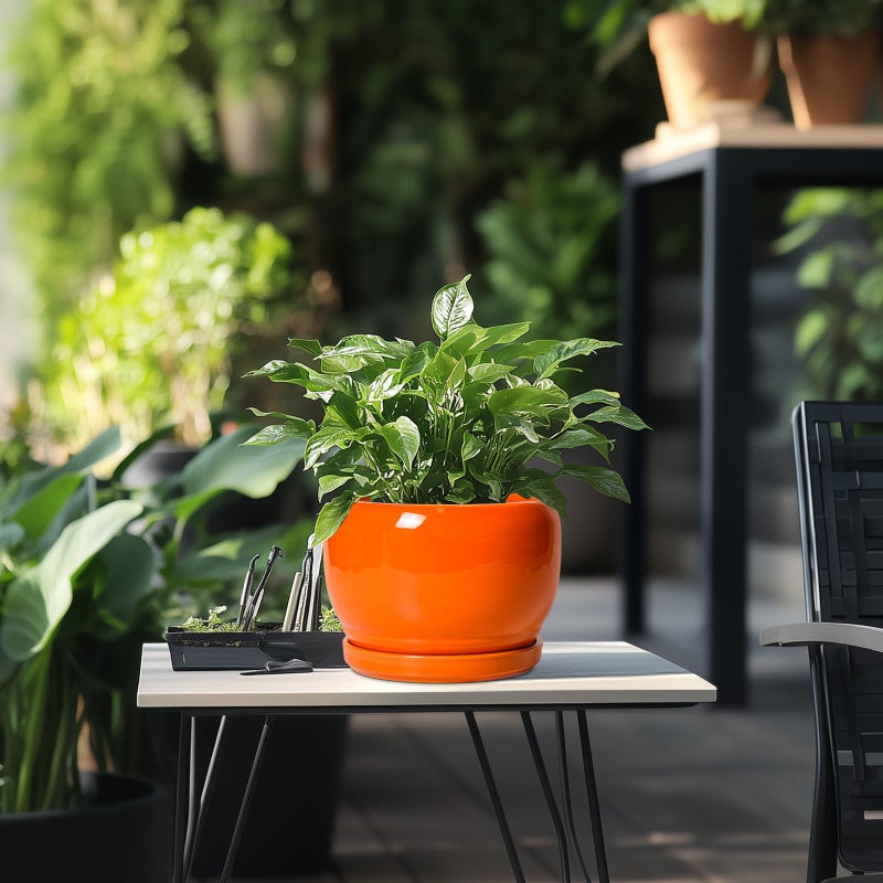 SQOWL Ceramic Pot for Plants - 8 Inch Plant Pot Indoor Outdoor, Modern Round Planter with Drainage Hole and Saucer, Decorative Planter for Flower, Office Decor, Garden Gifts for Women, Orange - Image 5