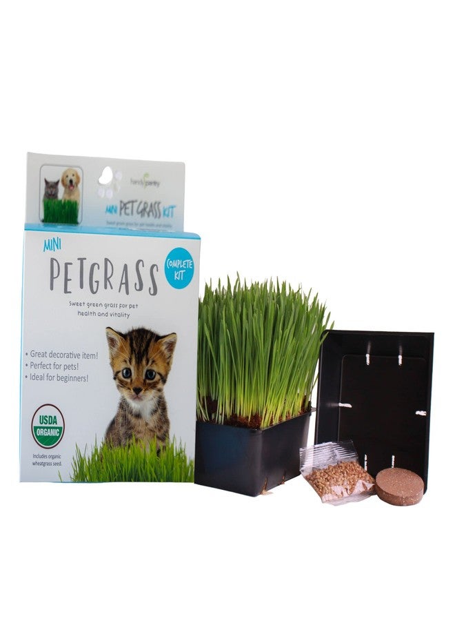 Handy Pantry Organic Cat Grass Kit - Includes 1 Tray, 1 Soil Puck, and Non GMO Wheatgrass Seed - A Healthy Treat for Cats, Dogs, Rabbits, and More - Image 1