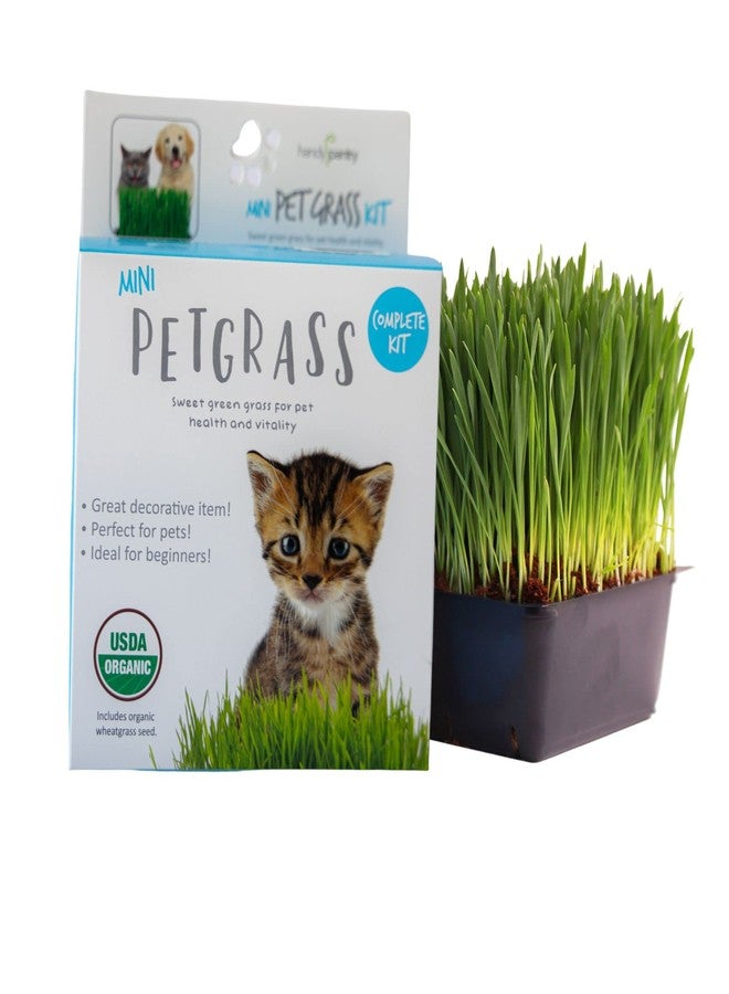 Handy Pantry Organic Cat Grass Kit - Includes 1 Tray, 1 Soil Puck, and Non GMO Wheatgrass Seed - A Healthy Treat for Cats, Dogs, Rabbits, and More - Image 2