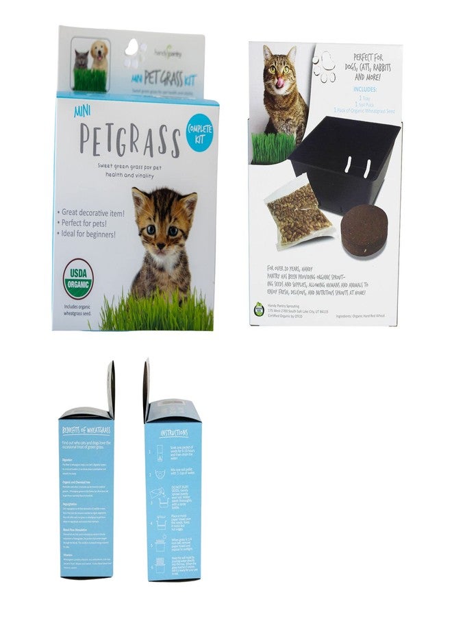 Handy Pantry Organic Cat Grass Kit - Includes 1 Tray, 1 Soil Puck, and Non GMO Wheatgrass Seed - A Healthy Treat for Cats, Dogs, Rabbits, and More - Image 3
