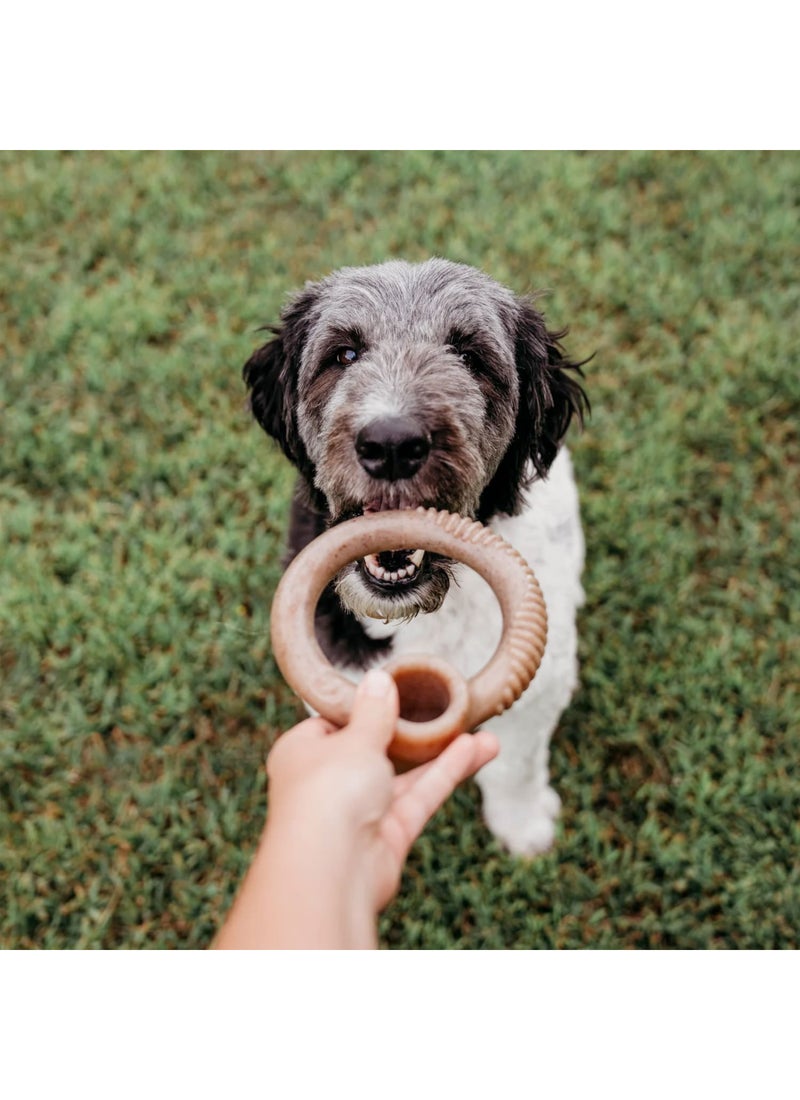 Benebone Ring Dog Toy Bacon - Image 2