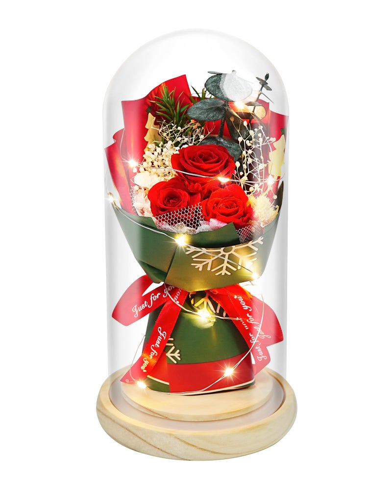 HVY Christmas Day Gifts for Women,Preserved Flowers Bouquet in Glass with LED Light,Flowers Fresh Bouquets for Her,Preserved Rose for Valentine's Day,Anniversary,Birthdays,Red Rose - Image 1