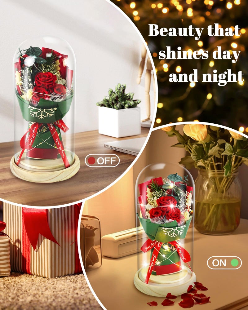 HVY Christmas Day Gifts for Women,Preserved Flowers Bouquet in Glass with LED Light,Flowers Fresh Bouquets for Her,Preserved Rose for Valentine's Day,Anniversary,Birthdays,Red Rose - Image 5