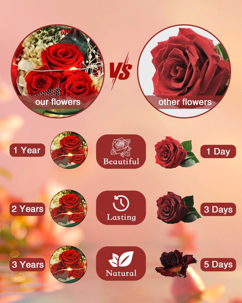 HVY Christmas Day Gifts for Women,Preserved Flowers Bouquet in Glass with LED Light,Flowers Fresh Bouquets for Her,Preserved Rose for Valentine's Day,Anniversary,Birthdays,Red Rose - Image 3