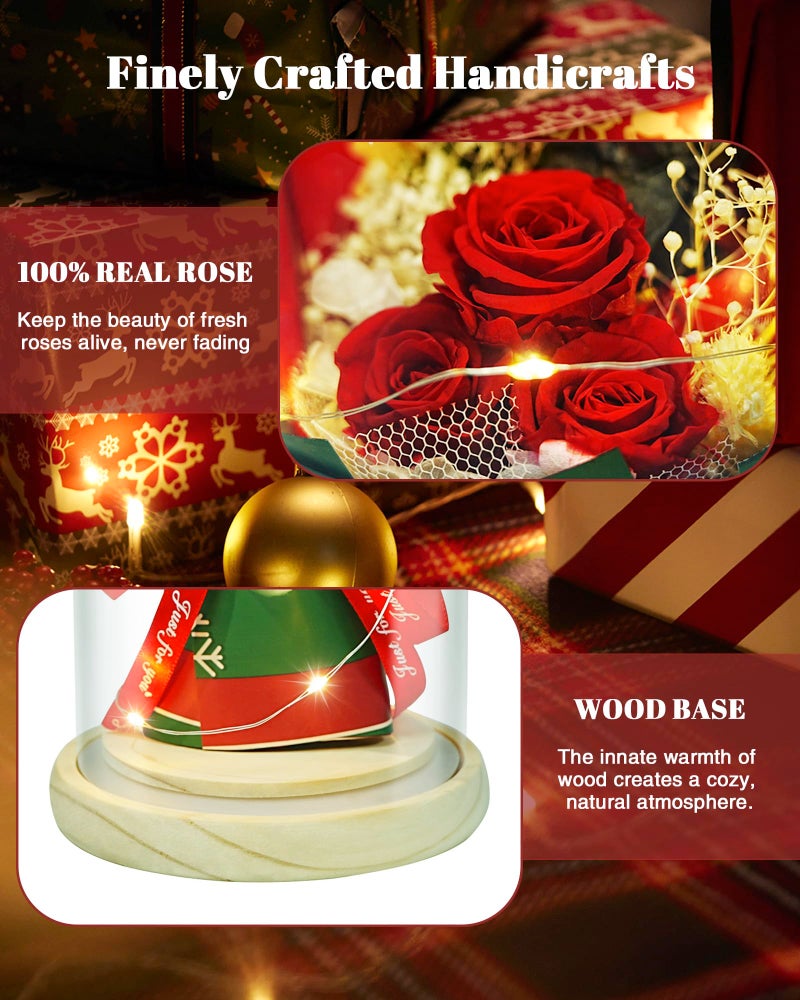 HVY Christmas Day Gifts for Women,Preserved Flowers Bouquet in Glass with LED Light,Flowers Fresh Bouquets for Her,Preserved Rose for Valentine's Day,Anniversary,Birthdays,Red Rose - Image 2