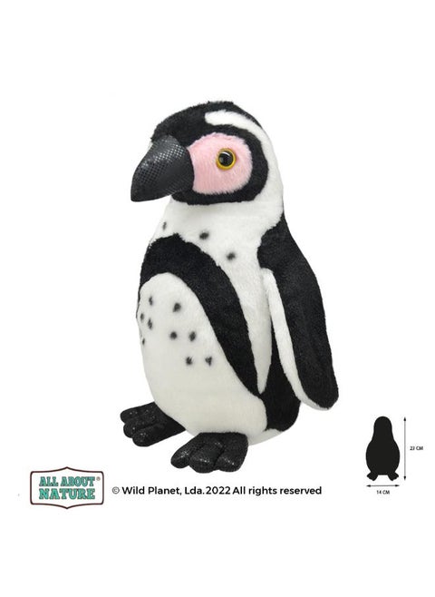Plush Soft – Orbys Cape Penguin