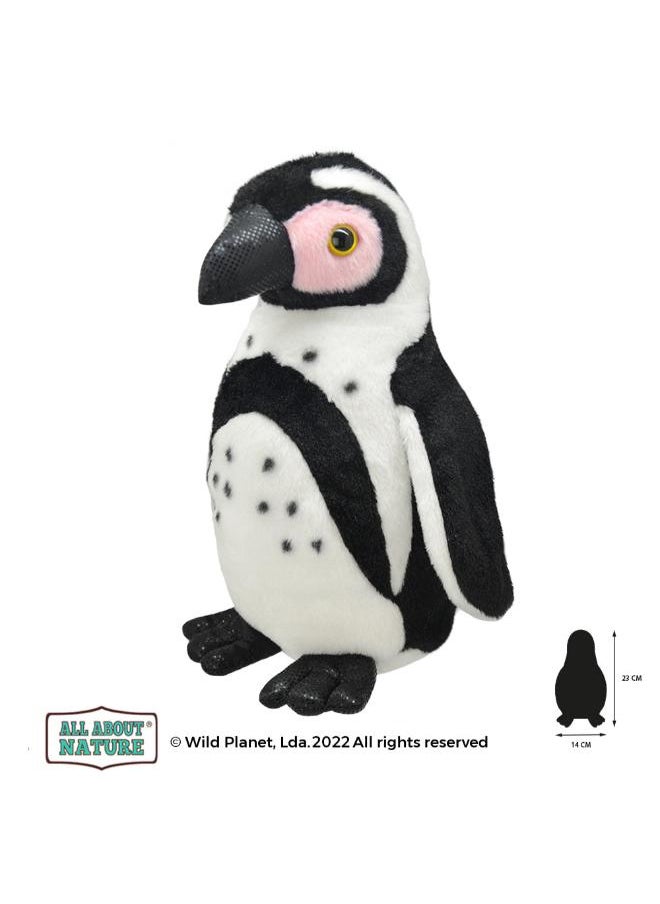 Wild Planet - Plush Soft – Orbys Cape Penguin - Image 1
