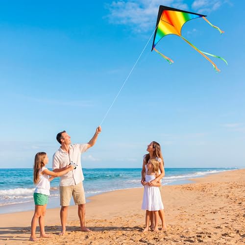 JOYIN 3 Pcs Large Delta Kite Gradient Rainbow Easy to Fly Huge for Kids and Adults with 328ft String Large Delta Beach Kite for Outdoor Games and Activities - Image 3