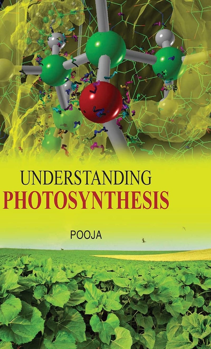 Understanding Photosynthesis - Image 1