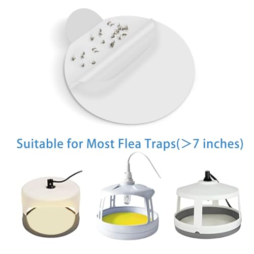 SHOOTING STAR Flea Trap Refill Discs 7.1 Inch Replacement Glue Boards for Most Models Flea Traps for Inside Your Home, 12 Pack - Image 3