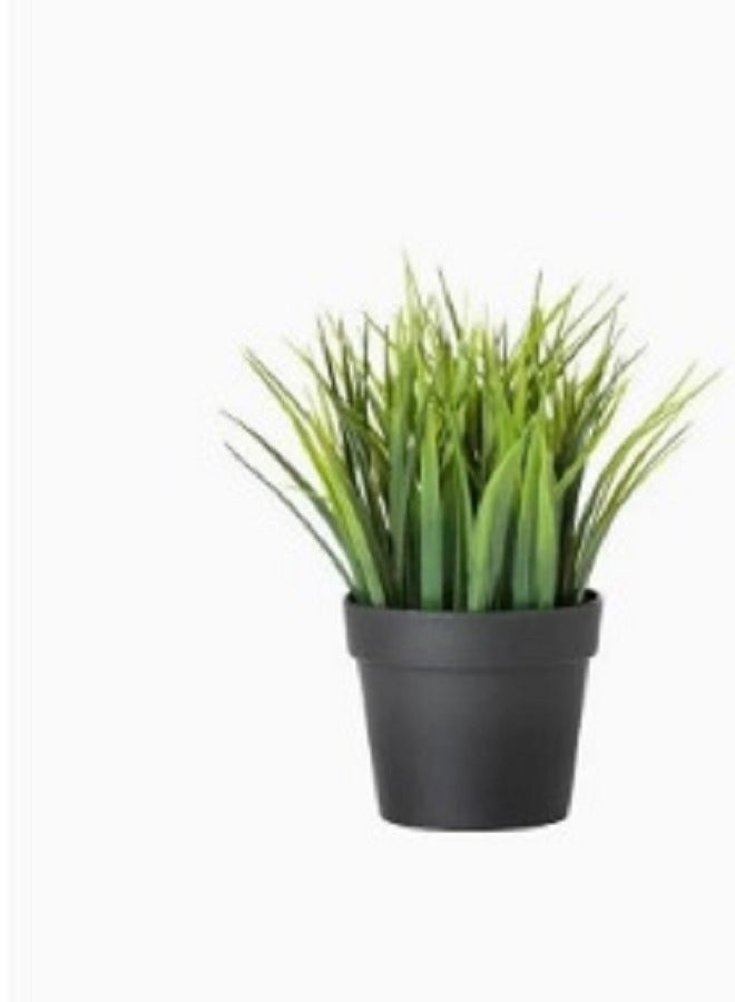Artificial plant in an external indoor pot