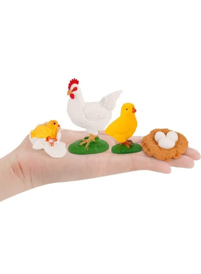 4-Piece Hen Growth Cycle Model Figure, Realistic Animal Figurines, Animal Growth Cycle Biological Model, Lifelike Rooster Life Cycle Model Set for Kids Education, Learning Gifts, Party Favors  - Image 2