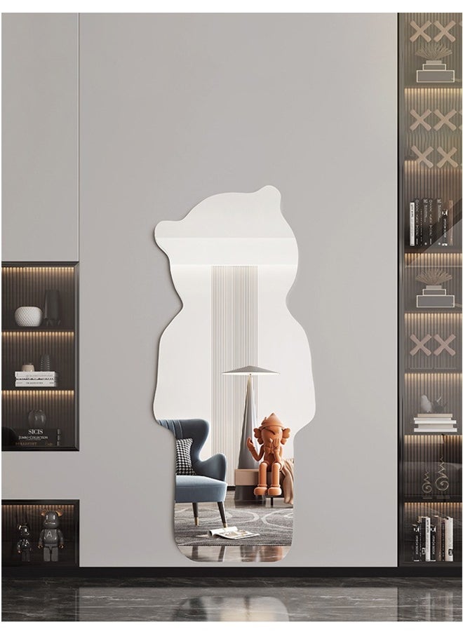 Full Length Dressing Mirror 50 X 100 CM