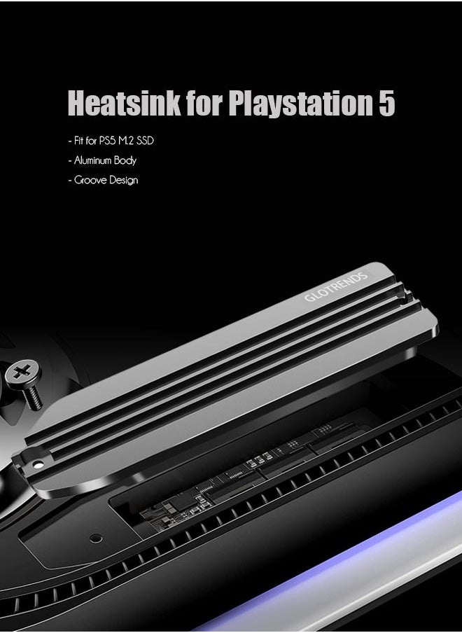 Heatsink for PS5 NVMe SSD