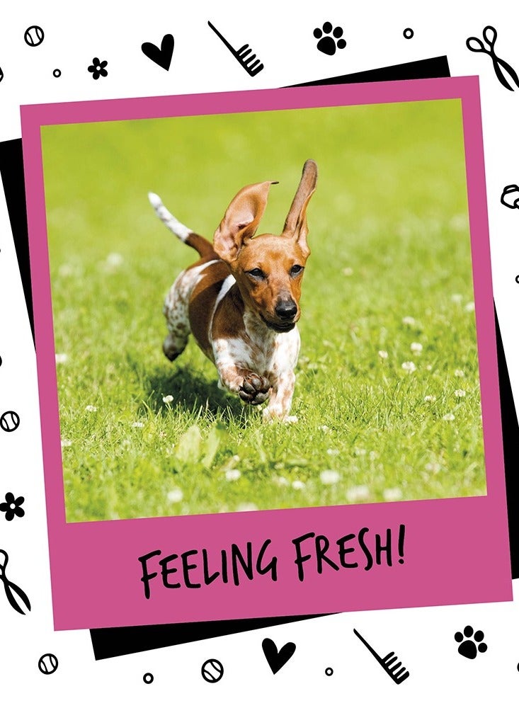 BUGALUGS One in a Million Cologne 5 Liter (1.12 Gallon) - Image 2