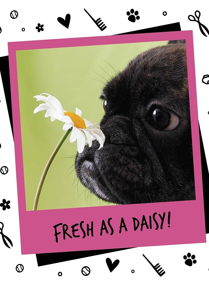 BUGALUGS One in a Million Cologne 5 Liter (1.12 Gallon) - Image 3