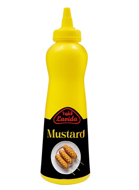 Mustard Squeeze , 540 gm