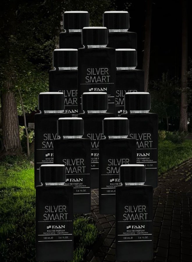 Faan 12 Pieces Silver Smart Perfume 100ML - Image 1