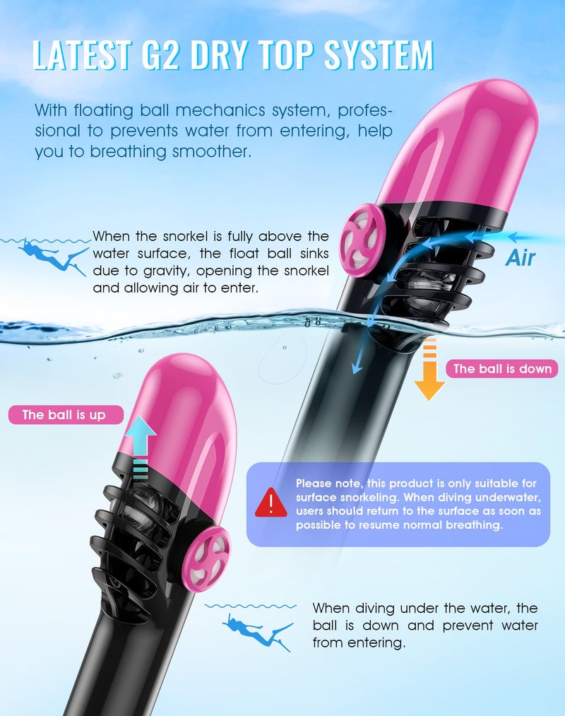 Greatever G2 Full Face Snorkel Mask with Latest Dry Top System,Foldable 180 Degree Panoramic View Snorkeling Mask with Camera Mount,Safe Breathing,Anti-Leak&Anti-Fog - Image 3
