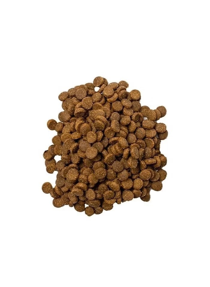 Doodzy Cat Classico 1KG - Image 2