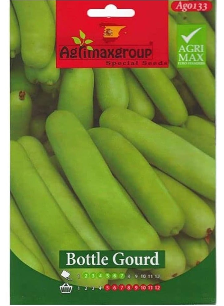 أجريماكس زجاجة بذور القرع عالية الجودة من Agrimaxgroup - Image 1