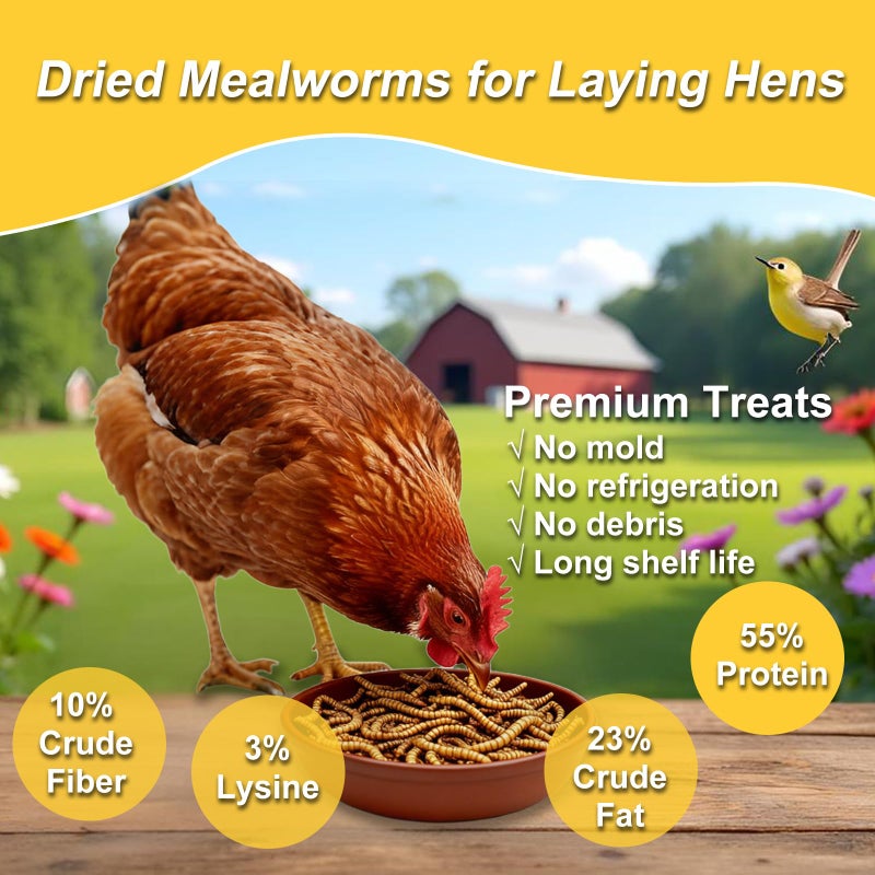 RANZ 10LBS Non-GMO Dried Mealworms for Chickens, High Protein Meal Worms, Premium Chicken Feed, Perfect Bird Food and Chicken Treats, Whole Large Mealworms for Wild Birds, Ducks, Fish - Image 3