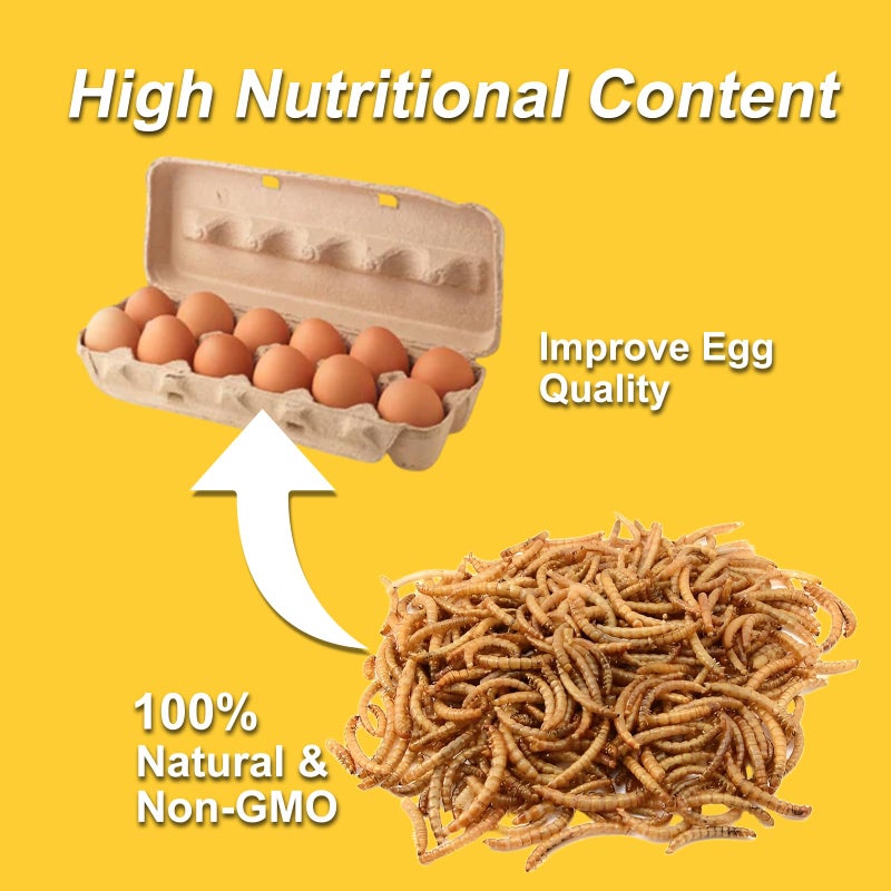 RANZ 10LBS Non-GMO Dried Mealworms for Chickens, High Protein Meal Worms, Premium Chicken Feed, Perfect Bird Food and Chicken Treats, Whole Large Mealworms for Wild Birds, Ducks, Fish - Image 4