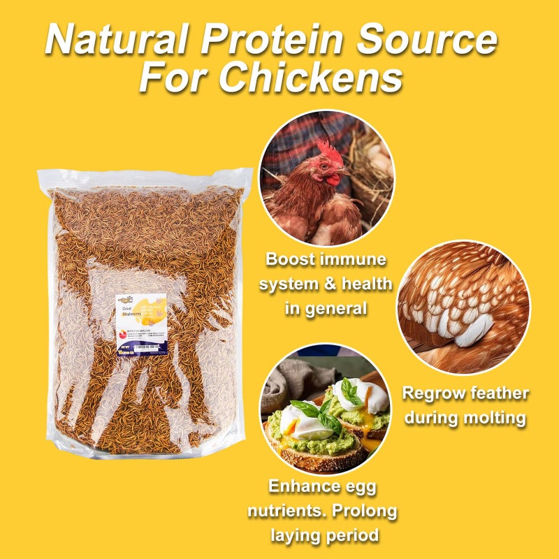 RANZ 10LBS Non-GMO Dried Mealworms for Chickens, High Protein Meal Worms, Premium Chicken Feed, Perfect Bird Food and Chicken Treats, Whole Large Mealworms for Wild Birds, Ducks, Fish - Image 5
