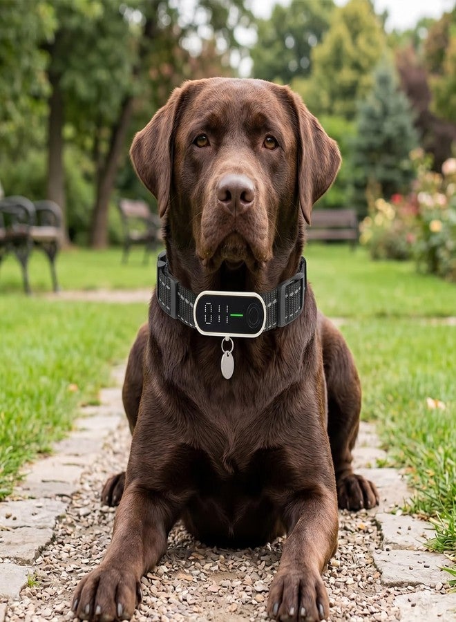Thrymme 2 Pcs Replacement Collar for Shock Collar, Shock Collar Replacement Strap Reflective Dog E-Collar Belt(Black) - Image 4