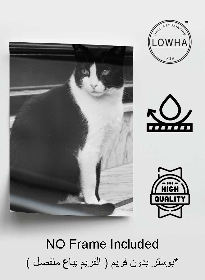 LOWHA Poster Painting Art With Four Separate Pieces Of Double-Sided Stickers Cat Image For Home Bedroom Living Room And Office Decor  - Image 3