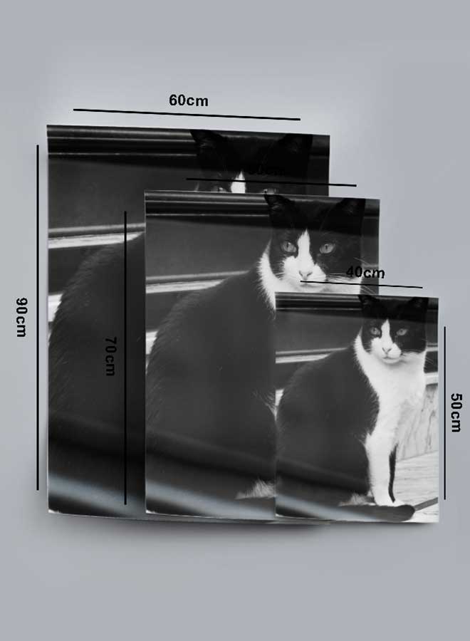 LOWHA Poster Painting Art With Four Separate Pieces Of Double-Sided Stickers Cat Image For Home Bedroom Living Room And Office Decor  - Image 4