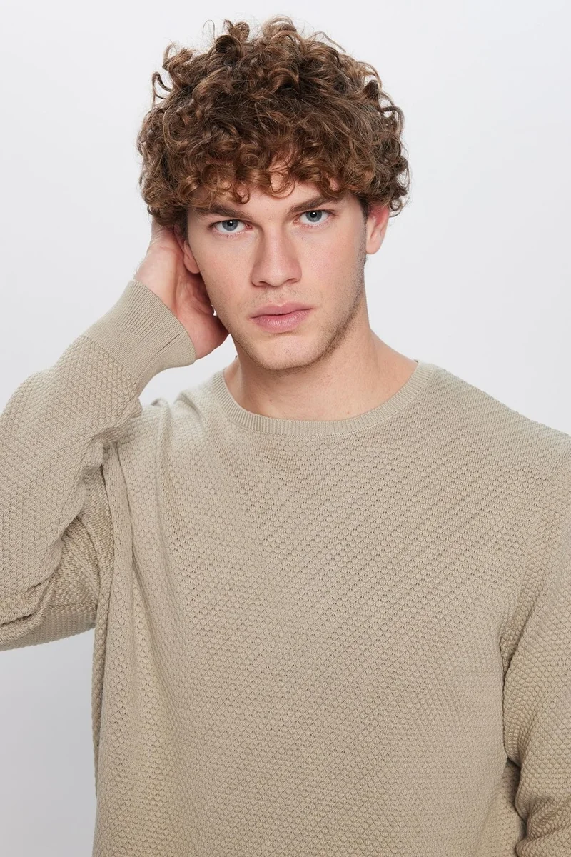 تودورس Slim Fit Crew Neck Honeycomb Patterned Men's Sweater