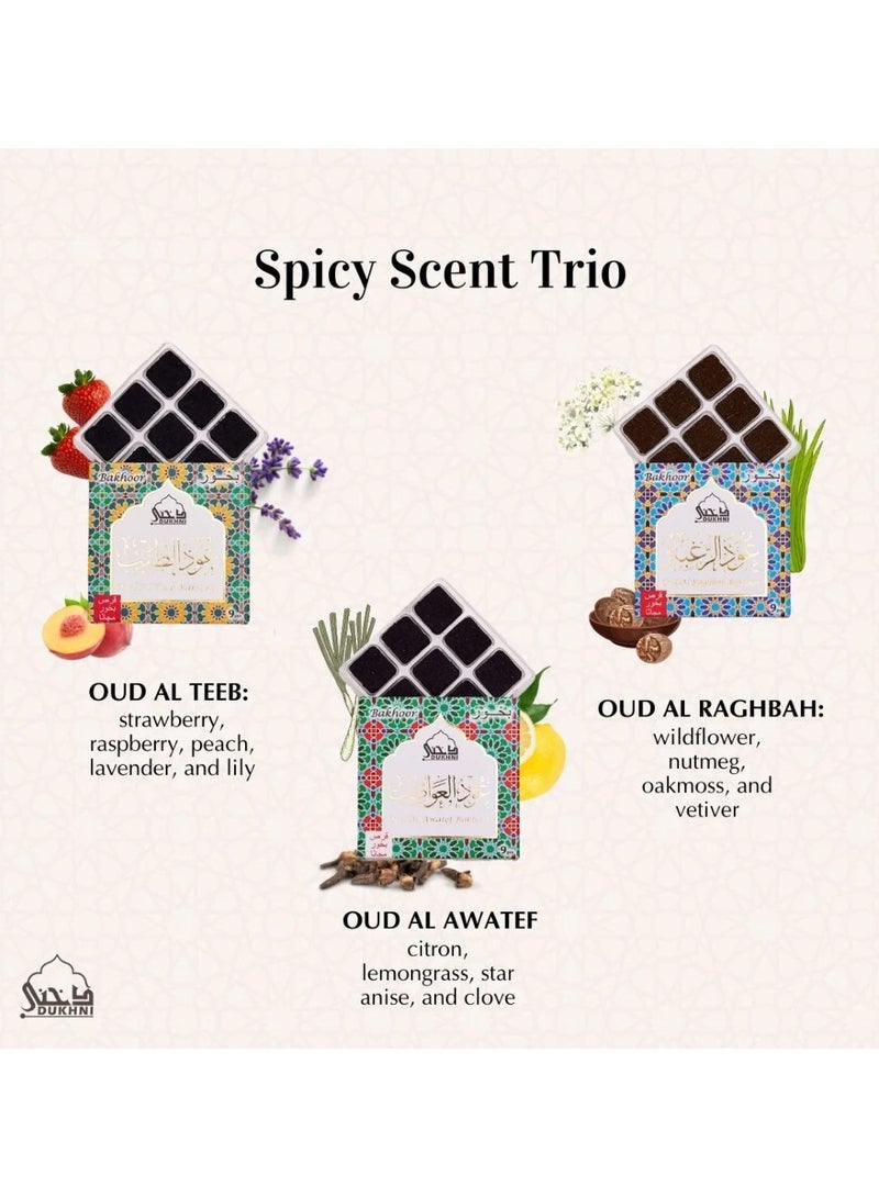 DUKHNI Oud Al Teeb, Oud Al Raghbah, Oud Al Awatef Bakhoor Set 3X Piece each & Oriental Bakhoor Burner | Arabic Bakhoor Incense | Perfect to Relax & Meditate | Great Gift - Image 2