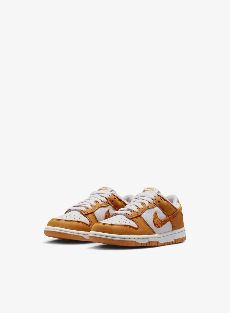 Nike Youth Dunk Low Sde Se Bg