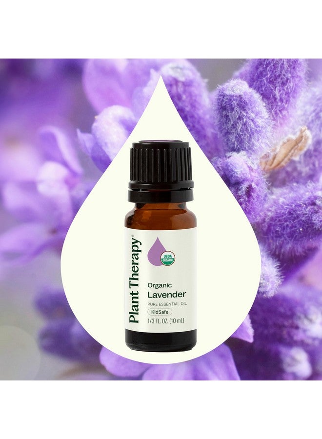 Plant Therapy Organic Lavender Essential Oil 100% Pure, USDA Certified Organic, Undiluted, Natural Aromatherapy, Therapeutic Grade 10 mL (1/3 oz) - Image 2