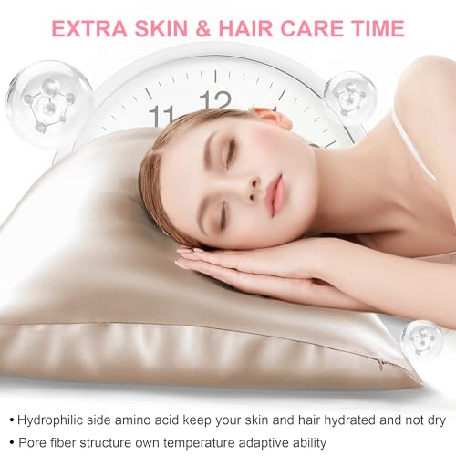 LYSHIN Mulberry Silk Pillow Cases 2 Pack King Size 20x36 Inches with Hidden Zipper, Ultra Smooth and Soft Breathable Cooling Silk Satin Pillowcase Set of 2, Better for Hair and Skin, Gifts for Women Men - Image 3