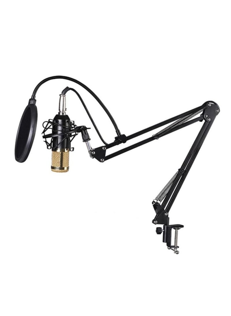 Generic - MIRHA Elite V9 Sound Card & BM800 Pro Microphone Bundle for Advanced Broadcasting - Image 1