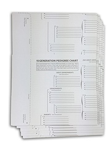 TreeSeek® 15 Generation Pedigree Chart | 5 Pack | Blank Genealogy Forms for Family History and Ancestry Work - Image 1