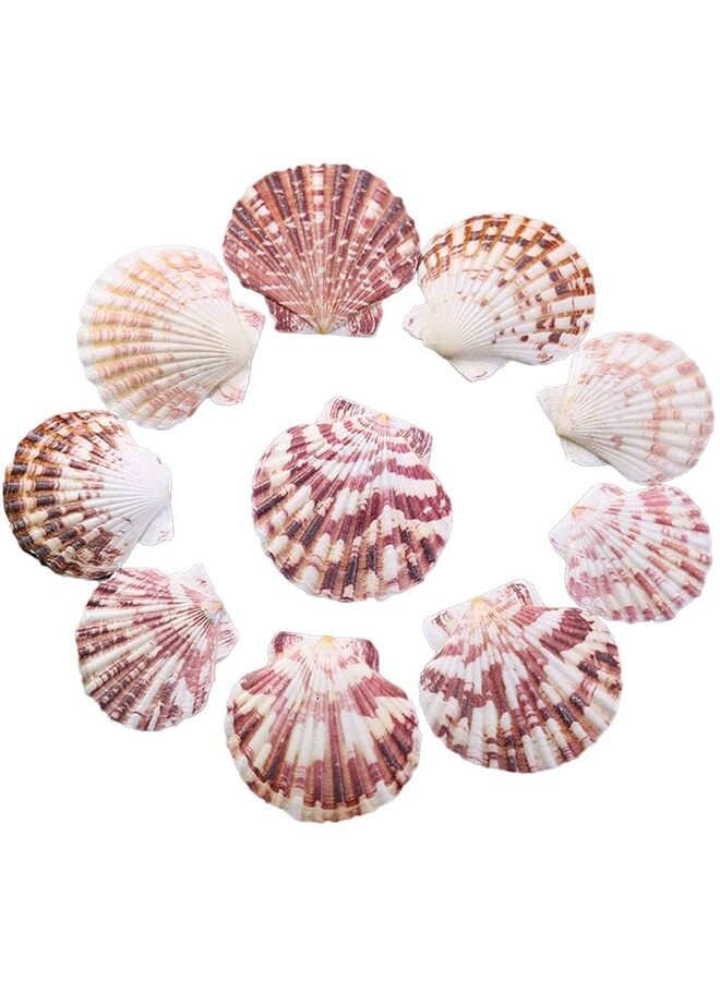 50 قطعة من صدفات البحر الطبيعية من Sea Beach لتزيين الحرف اليدوية لحفلات الزفاف ذات الطابع الشاطئي وديكورات المنزل وحوض السمك - Image 1