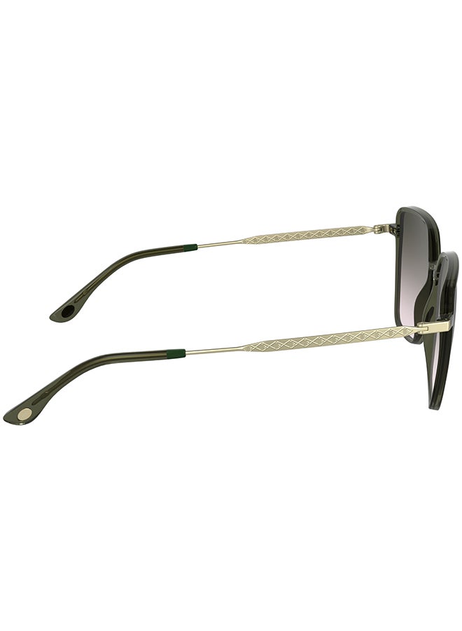 LACOSTE نظارات شمسية لاكوست كاملة الإطار L6062S 5615 (275) شفاف كاكي - Image 5